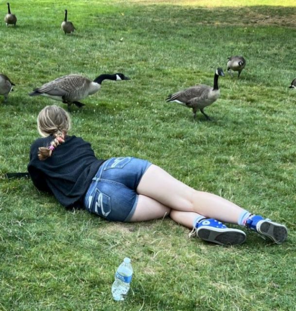 93828_girl-ducks.jpg